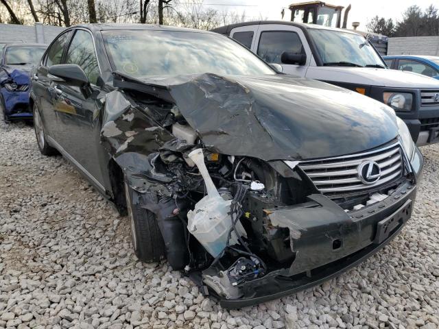 LEXUS ES 350 2010 jthbk1eg1a2358517