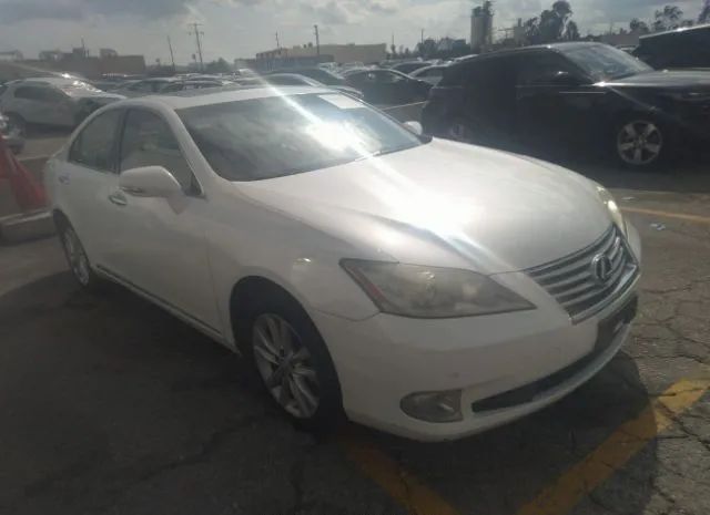 LEXUS ES 350 2010 jthbk1eg1a2362583