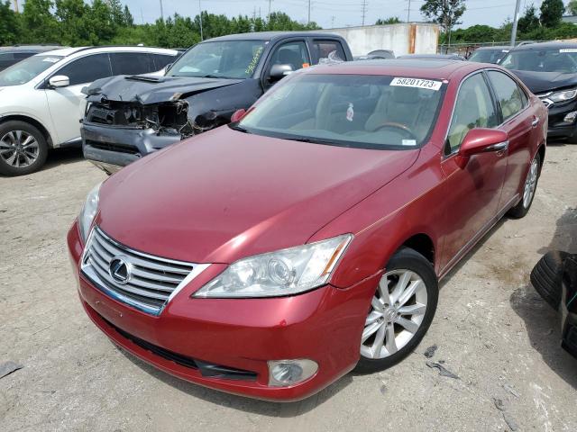 LEXUS ES 350 2010 jthbk1eg1a2362681