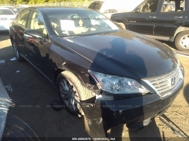 LEXUS ES 350 2010 jthbk1eg1a2364902