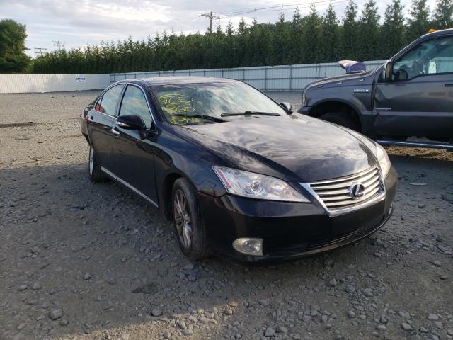 LEXUS ES 350 2010 jthbk1eg1a2366178