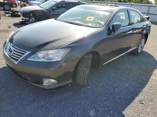 LEXUS ES 350 2010 jthbk1eg1a2367556