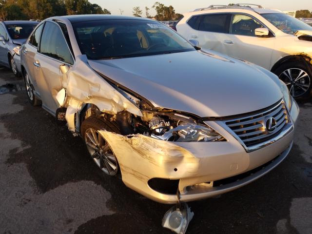 LEXUS ES 350 2010 jthbk1eg1a2370649