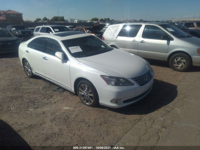 LEXUS ES 350 2010 jthbk1eg1a2371168