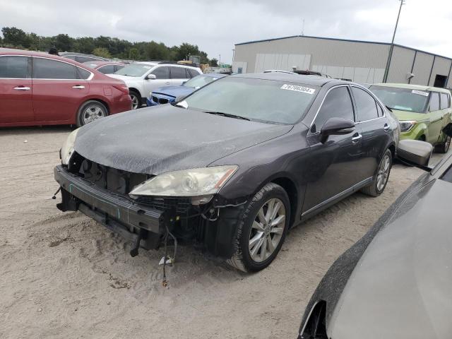 LEXUS ES 350 2010 jthbk1eg1a2372109