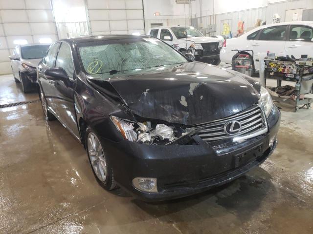 LEXUS ES 350 2010 jthbk1eg1a2373079