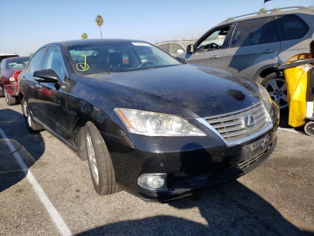 LEXUS ES 350 2010 jthbk1eg1a2375155