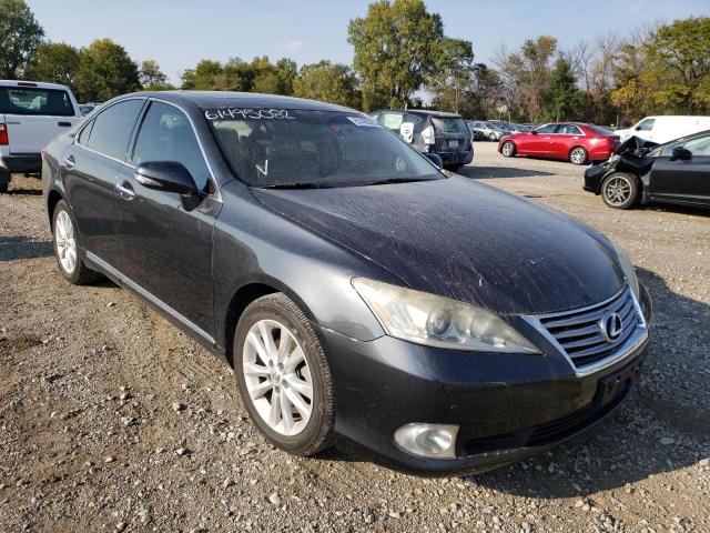 LEXUS ES 350 2010 jthbk1eg1a2375978