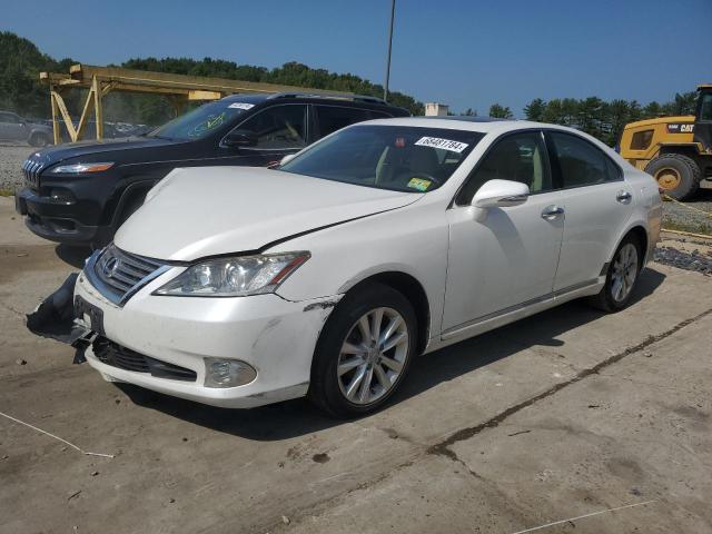 LEXUS ES 350 2010 jthbk1eg1a2382090