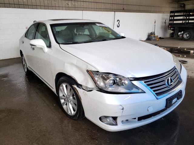 LEXUS ES 350 2010 jthbk1eg1a2384826