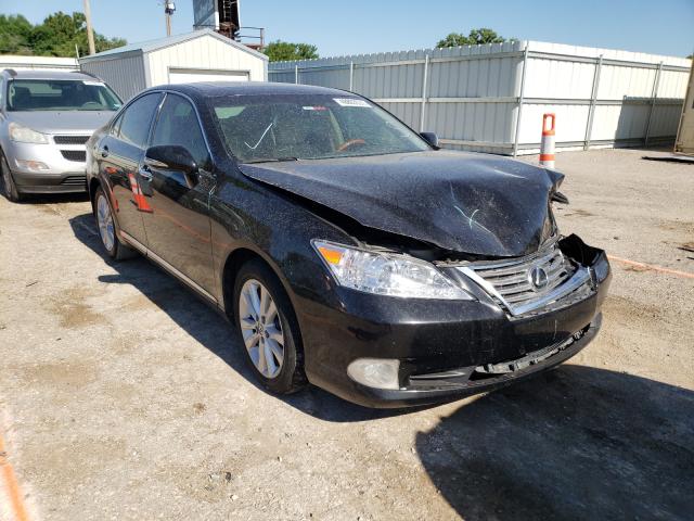 LEXUS ES 350 2010 jthbk1eg1a2388116