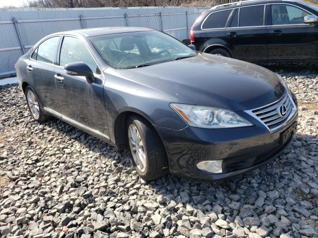 LEXUS ES 350 2010 jthbk1eg1a2389783