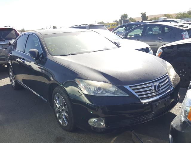 LEXUS ES 350 2010 jthbk1eg1a2389928