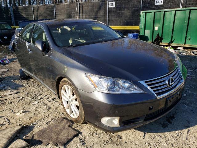 LEXUS ES 350 2010 jthbk1eg1a2390903