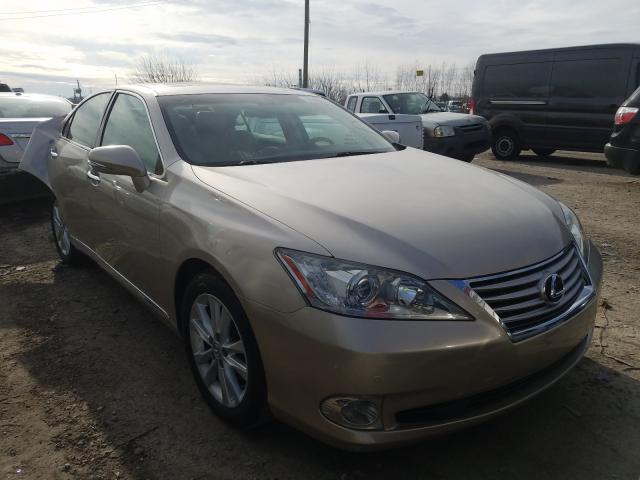 LEXUS ES 350 2010 jthbk1eg1a2392022