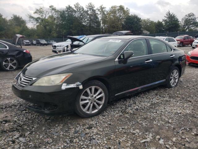 LEXUS ES 350 2010 jthbk1eg1a2394384