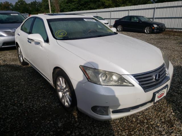 LEXUS ES 350 2010 jthbk1eg1a2395437