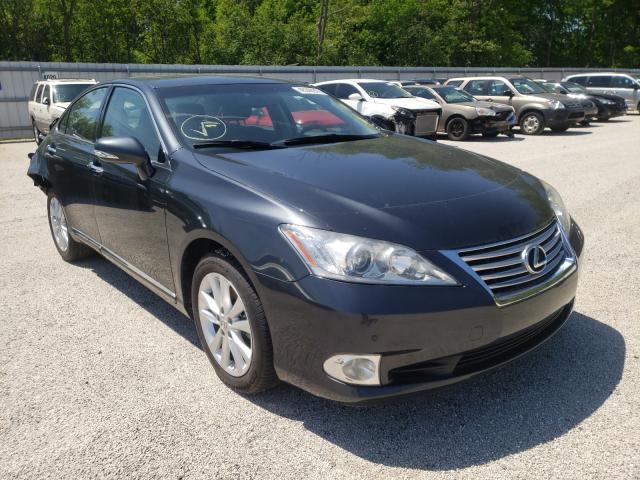 LEXUS ES 350 2010 jthbk1eg1a2397107