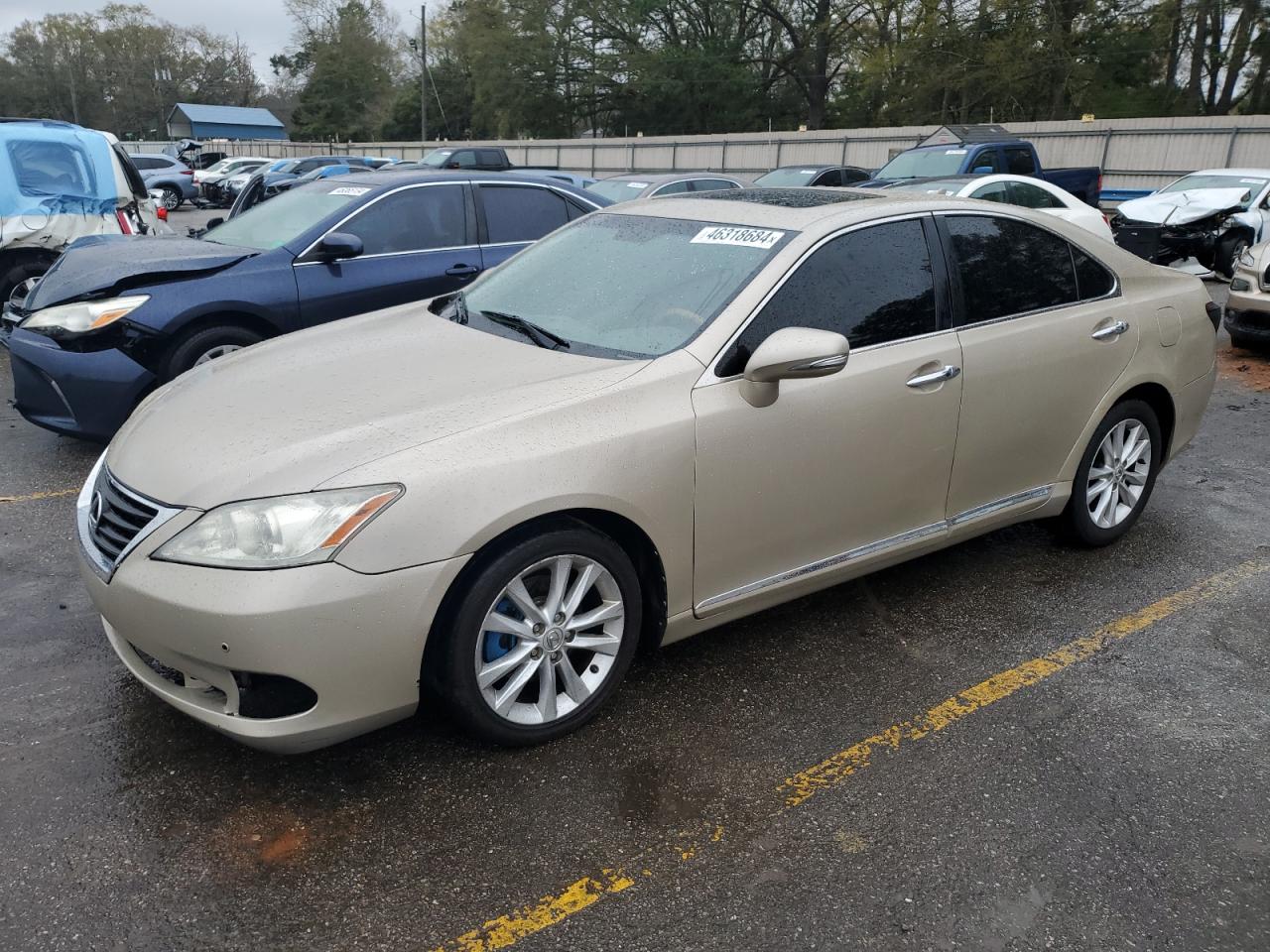 LEXUS ES 2010 jthbk1eg1a2401284