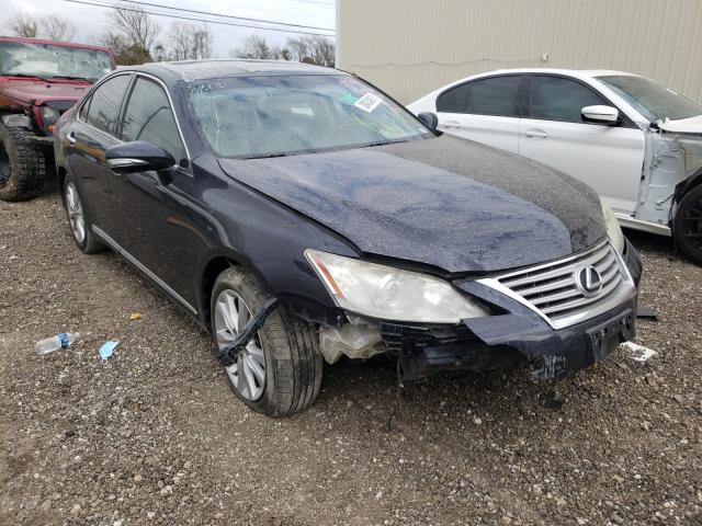 LEXUS ES 350 2010 jthbk1eg1a2404220