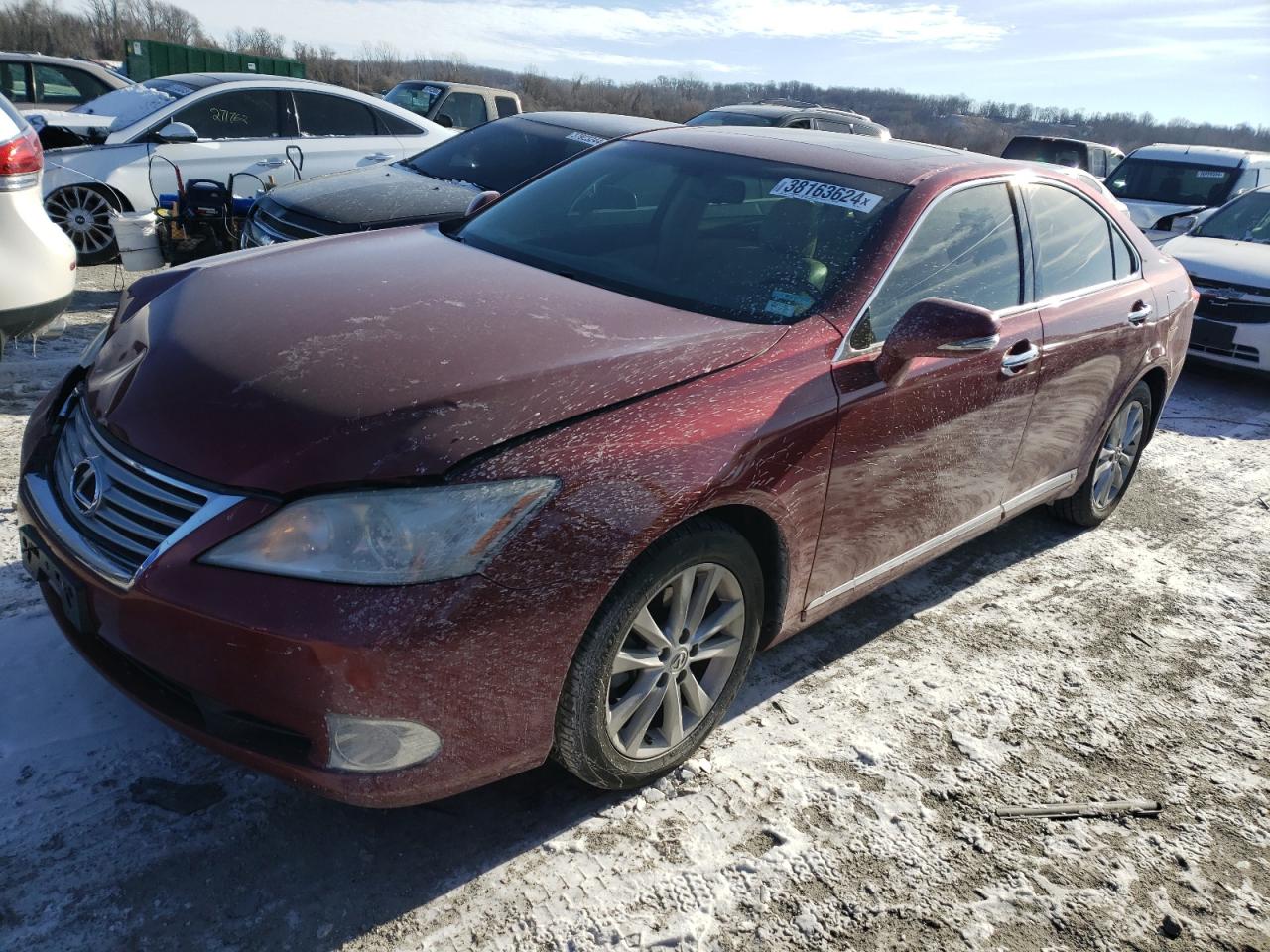 LEXUS ES 2010 jthbk1eg1a2405111