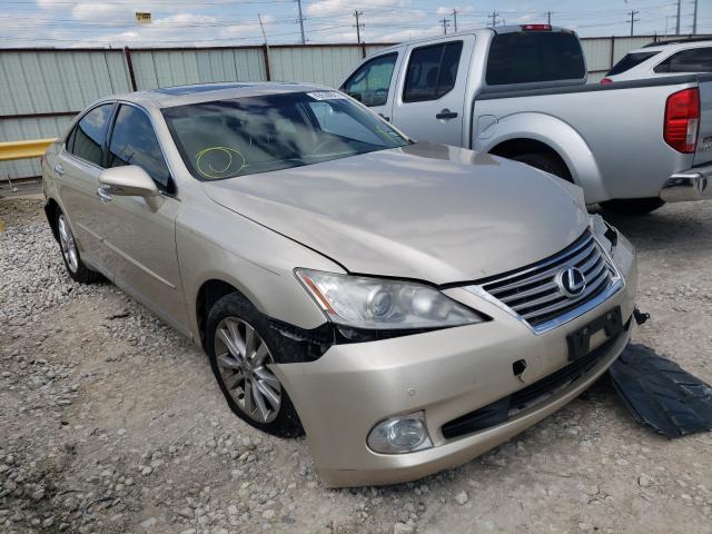 LEXUS ES 350 2010 jthbk1eg1a2408302