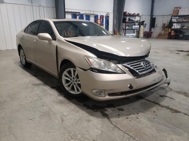 LEXUS ES 350 2010 jthbk1eg1a2408736