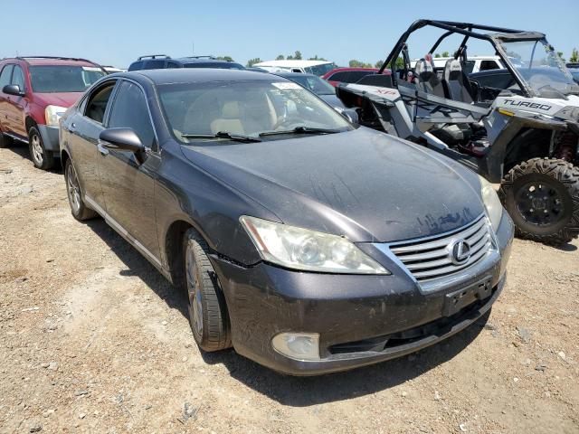 LEXUS ES 350 2010 jthbk1eg1a2409143