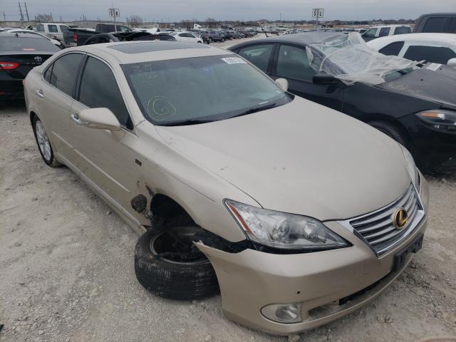 LEXUS ES 350 2010 jthbk1eg1a2410308