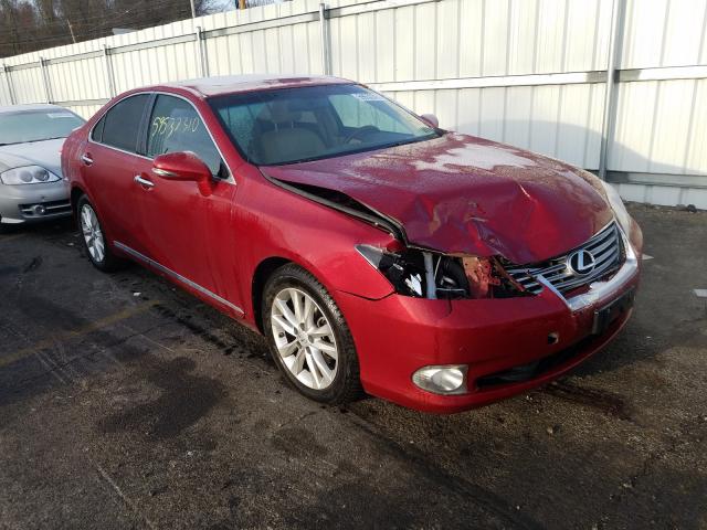 LEXUS ES 350 2010 jthbk1eg1a2410955