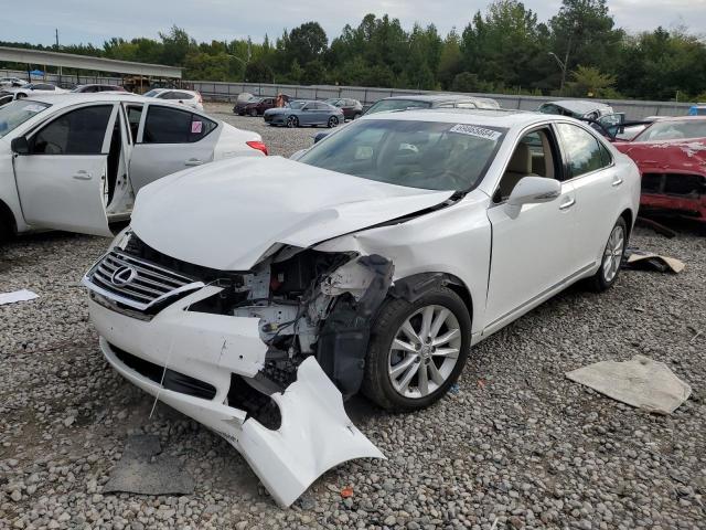 LEXUS ES 350 2011 jthbk1eg1b2439745