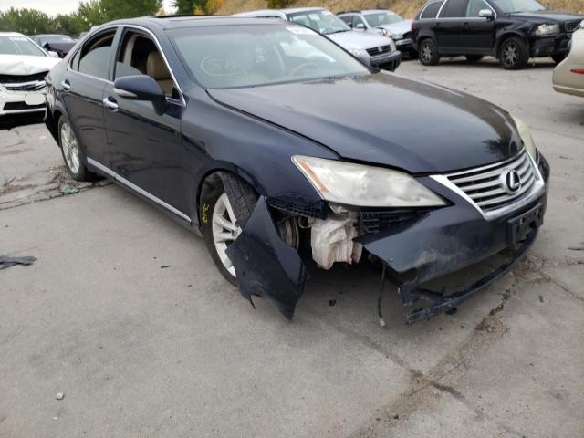 LEXUS ES 350 2010 jthbk1eg2a2342956