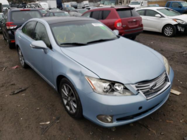 LEXUS ES 350 2010 jthbk1eg2a2342973