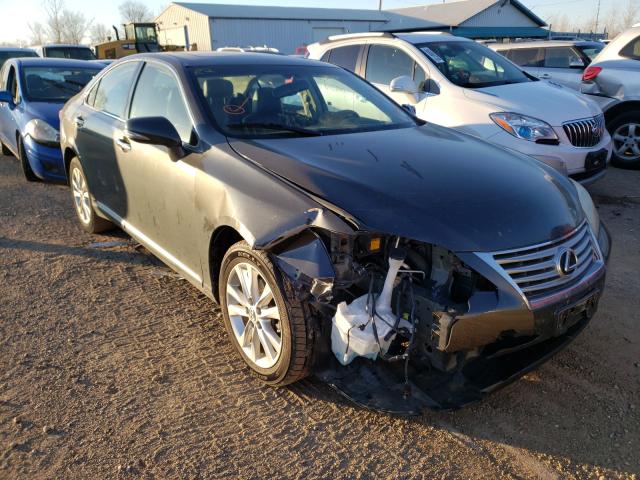 LEXUS ES 350 2010 jthbk1eg2a2344612