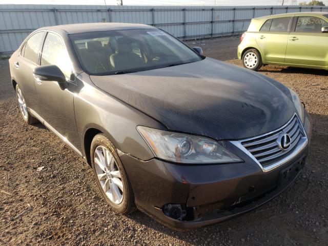 LEXUS ES 350 2010 jthbk1eg2a2345887