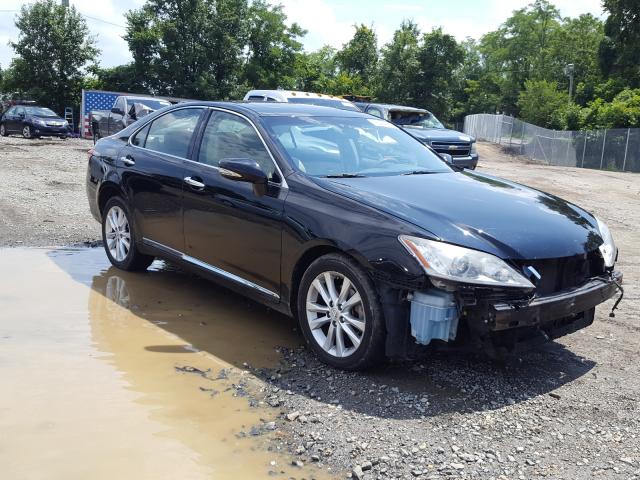 LEXUS ES 350 2010 jthbk1eg2a2346053