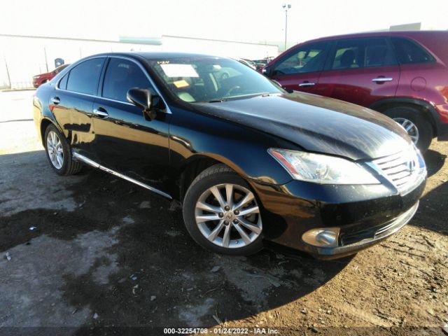 LEXUS ES 350 2010 jthbk1eg2a2346523