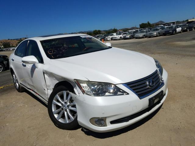 LEXUS ES 350 2010 jthbk1eg2a2351852