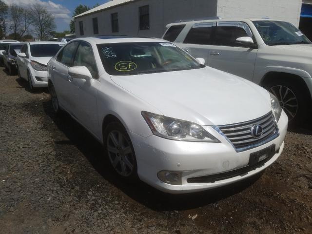 LEXUS ES 350 2010 jthbk1eg2a2353214