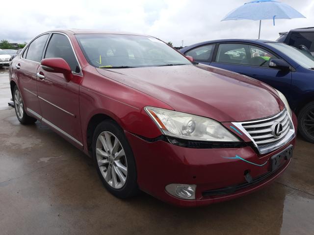 LEXUS ES 350 2010 jthbk1eg2a2354508