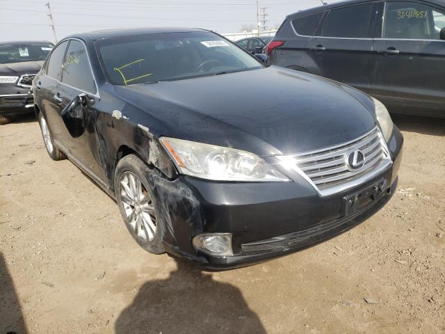 LEXUS ES 350 2010 jthbk1eg2a2356159