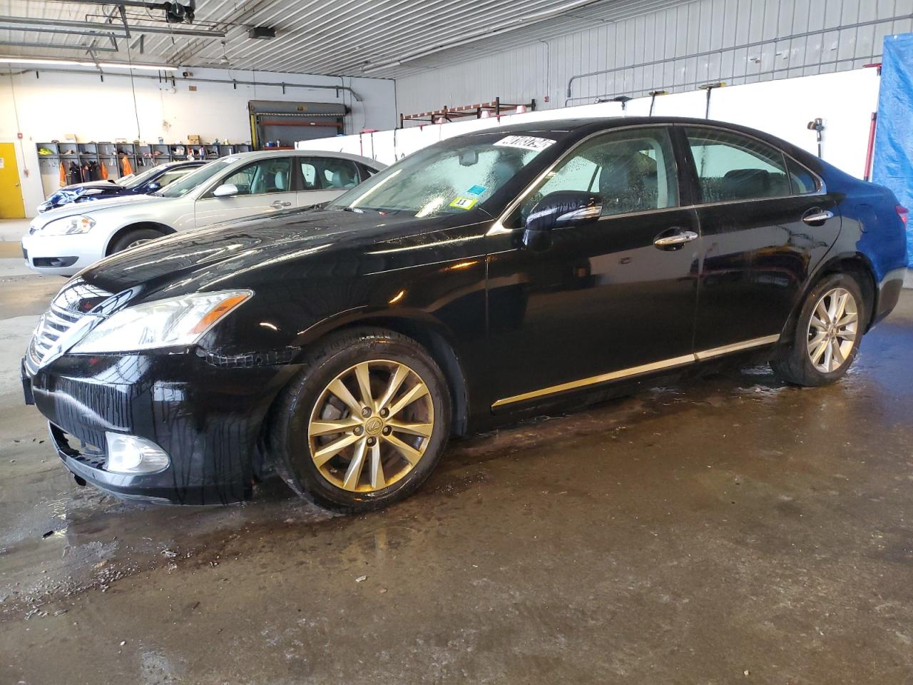 LEXUS ES 2010 jthbk1eg2a2357439