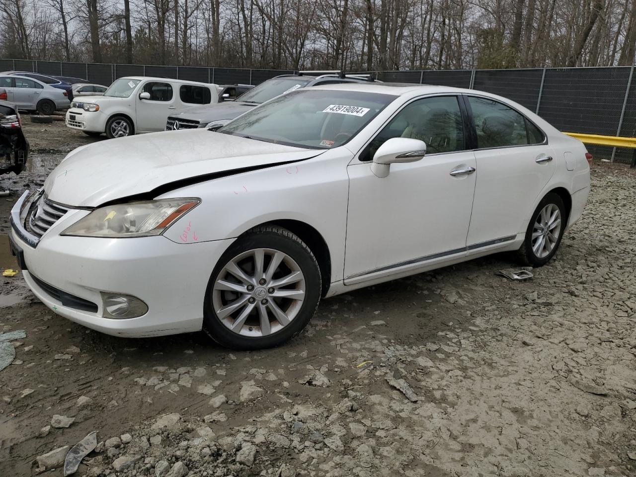 LEXUS ES 2010 jthbk1eg2a2359143