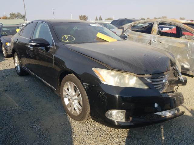 LEXUS ES 350 2010 jthbk1eg2a2359840