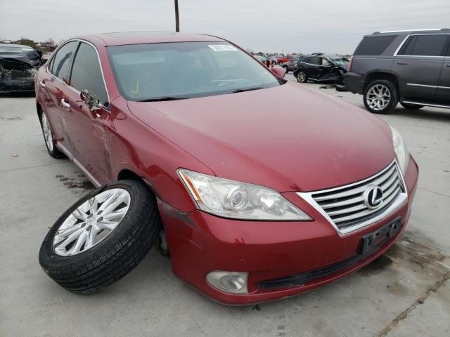 LEXUS ES 350 2010 jthbk1eg2a2362186