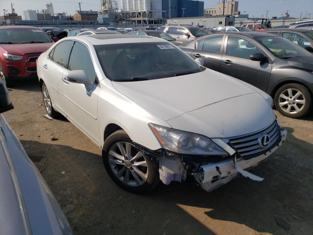 LEXUS ES 350 2010 jthbk1eg2a2363452