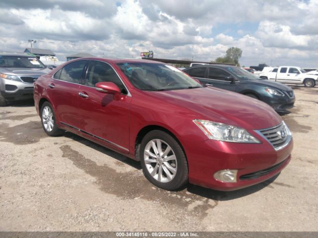 LEXUS ES 350 2010 jthbk1eg2a2363581