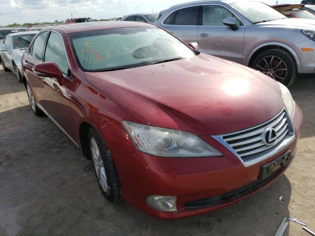 LEXUS ES 350 2010 jthbk1eg2a2364603