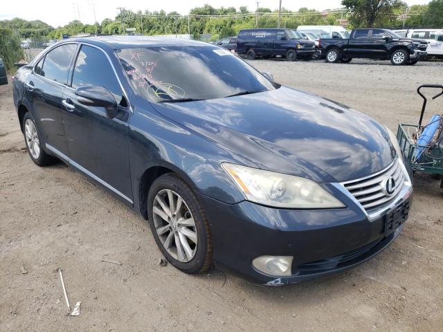 LEXUS ES 350 2010 jthbk1eg2a2365587