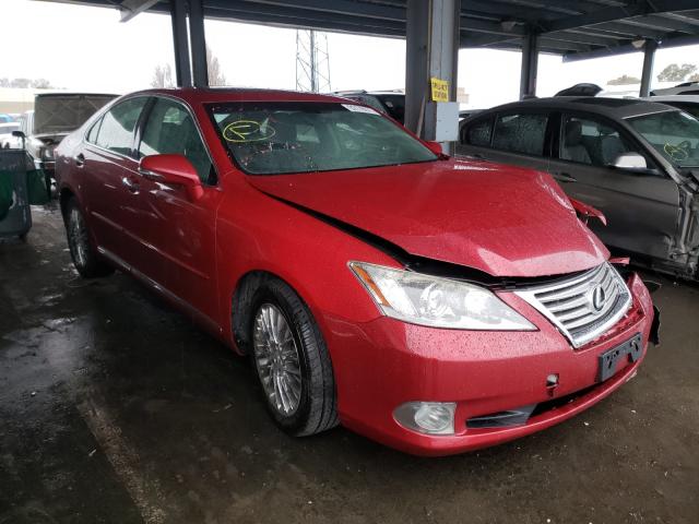 LEXUS ES 350 2010 jthbk1eg2a2365931